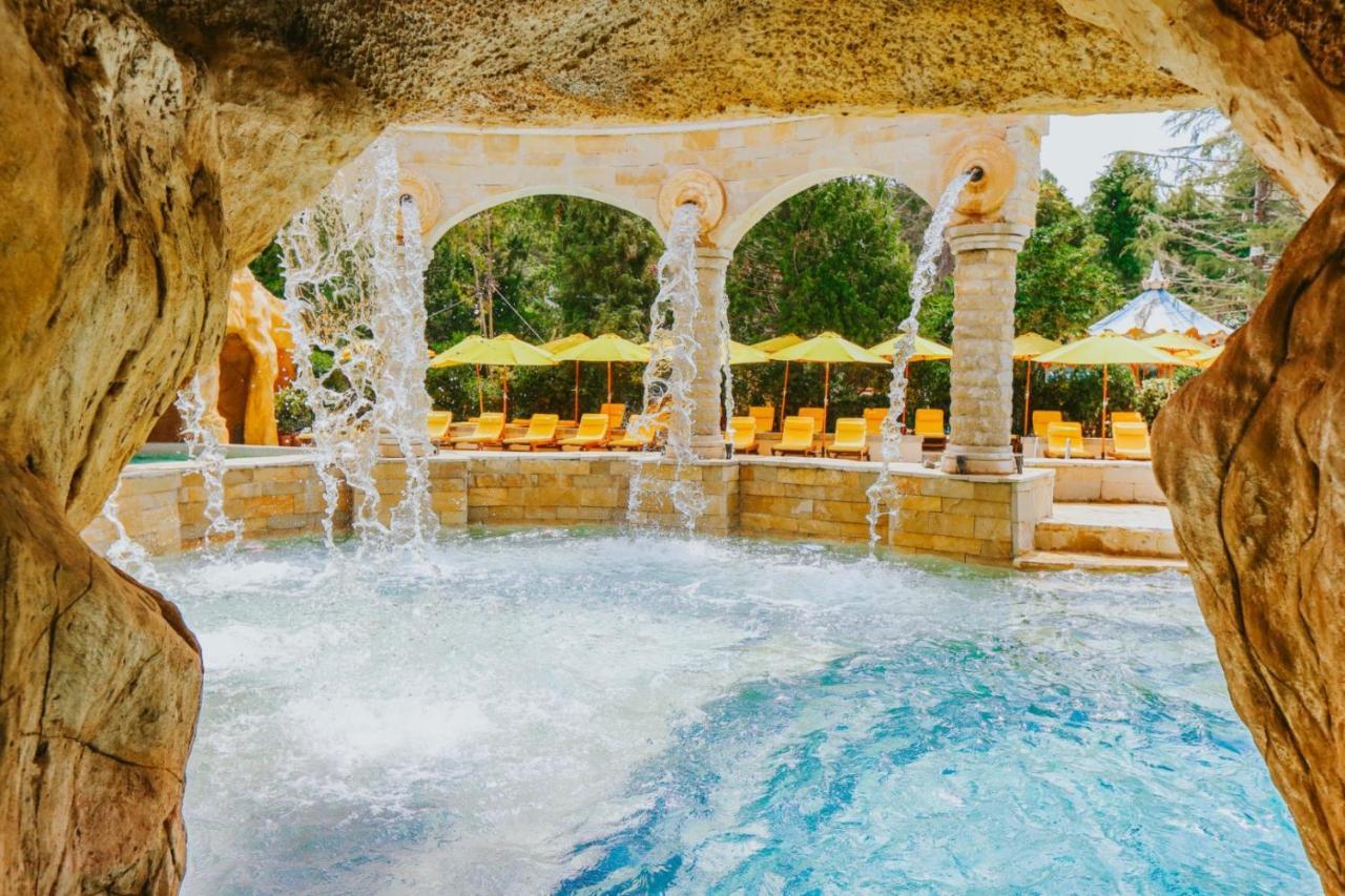 Dreamland Oasis *