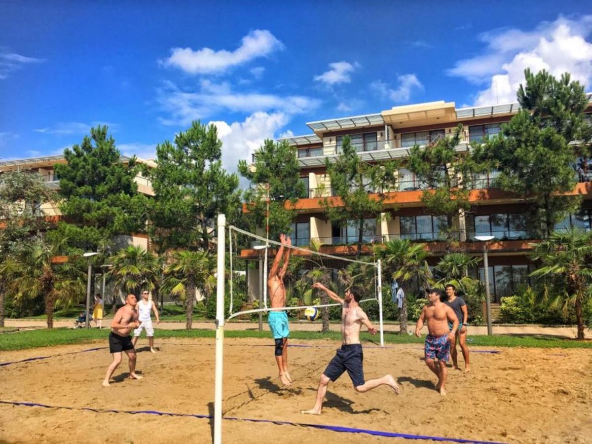 Dreamland Oasis * Chakvi